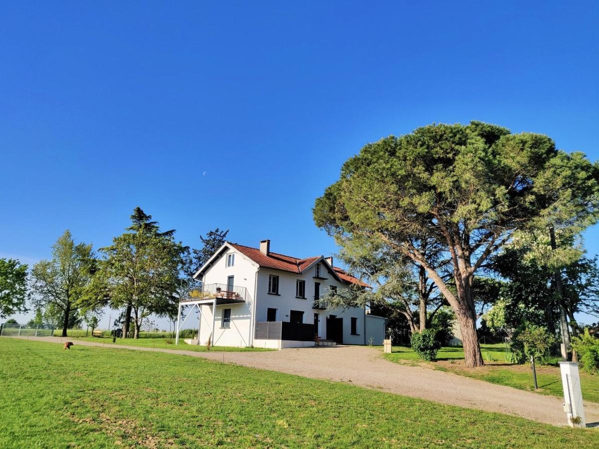 Le Cottage Nature Primeur Sauna Gaillac Entre Albi-Toulouse & Les Cottages Du Tarn Brens  Buitenkant foto